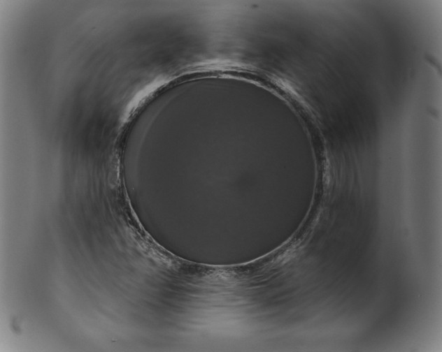 X0000099951358200806061533