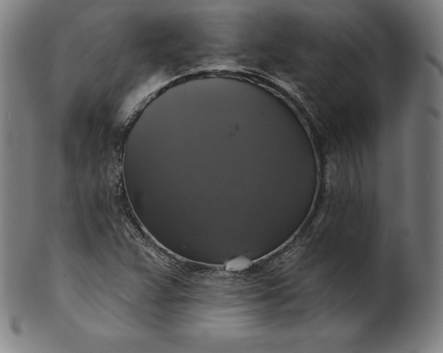 X0000099951359200806061533