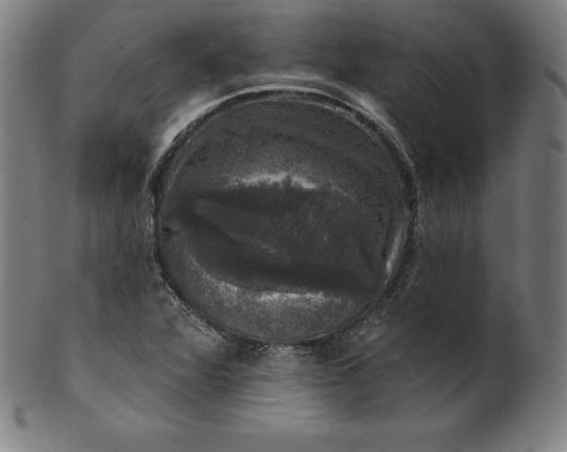 X0000099951360200806061533