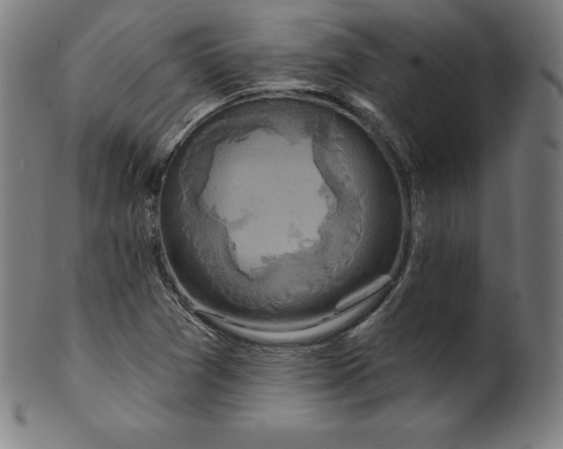 X0000099951361200806061533