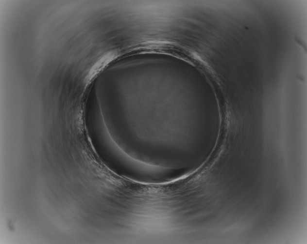 X0000099951362200806061532