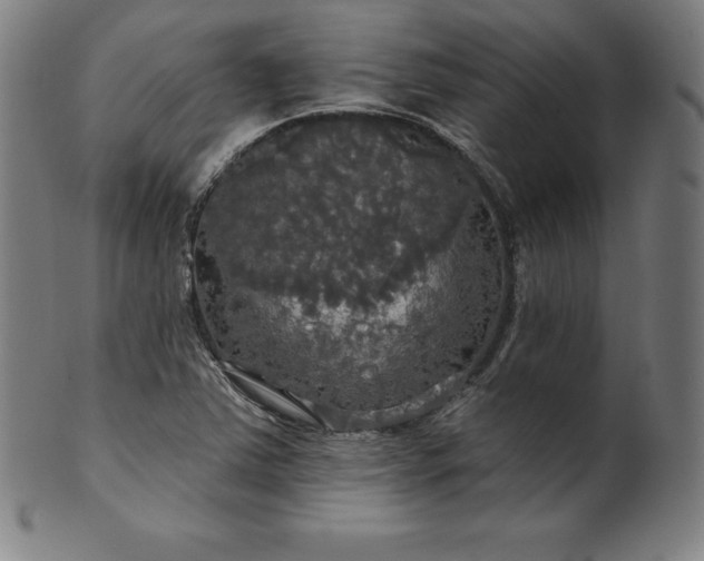 X0000099951363200806061532