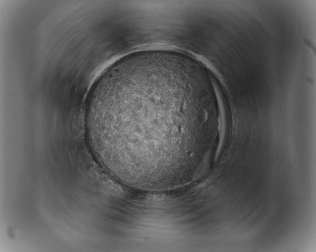 X0000099951364200806061532