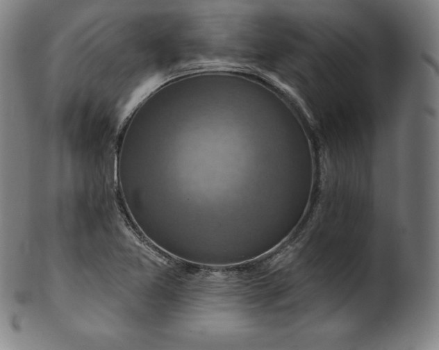 X0000099951365200806061532