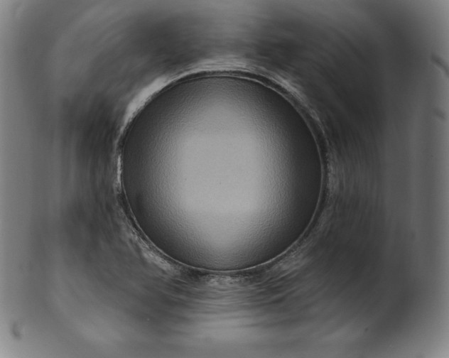 X0000099951366200806061532