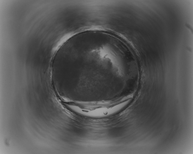 X0000099951367200806061532