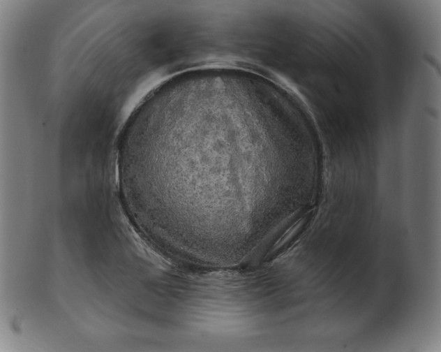 X0000099951368200806061532