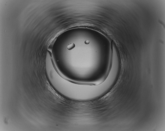 X0000099951369200806061532