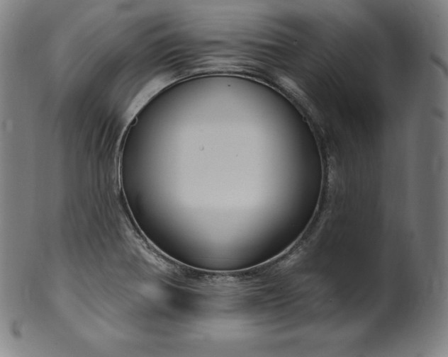 X0000099951370200806061532