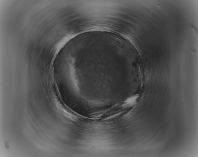 X0000099951371200806061532