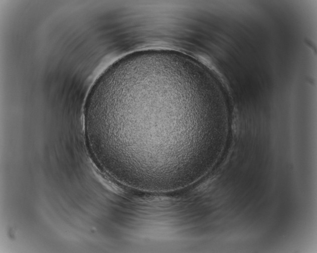 X0000099951372200806061532