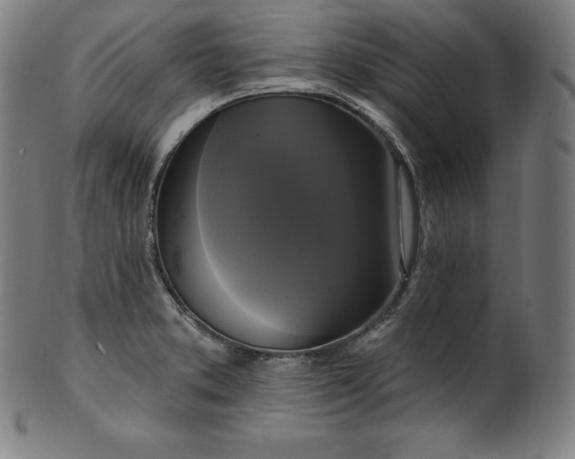 X0000099951373200806061532