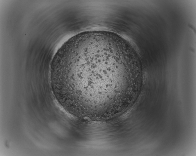 X0000099951374200806061532