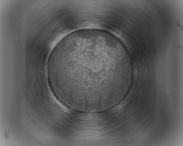 X0000099951375200806061532