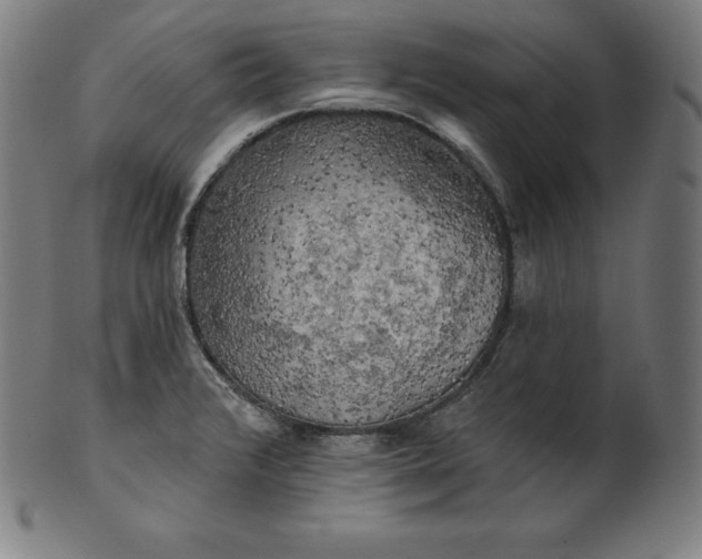 X0000099951376200806061532