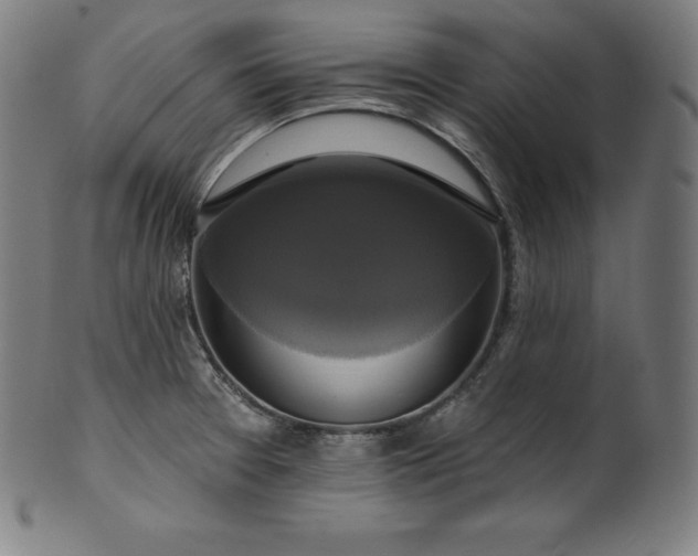 X0000099951377200806061532