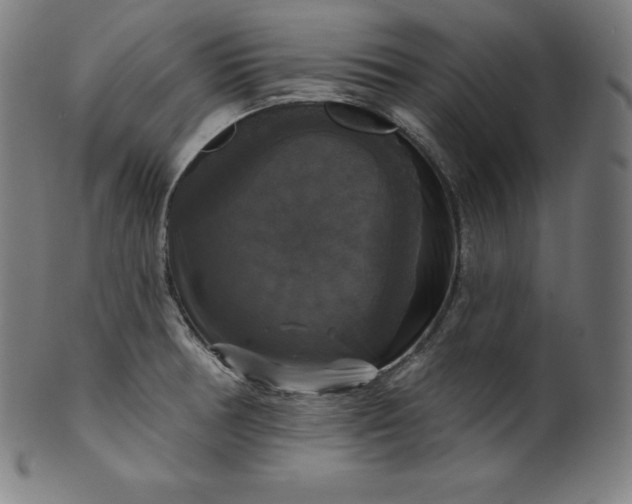 X0000099951378200806061532