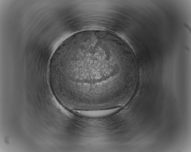 X0000099951379200806061532