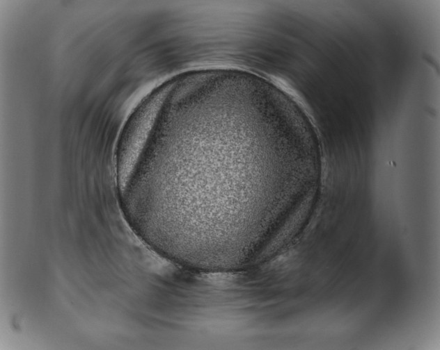 X0000099951380200806061532