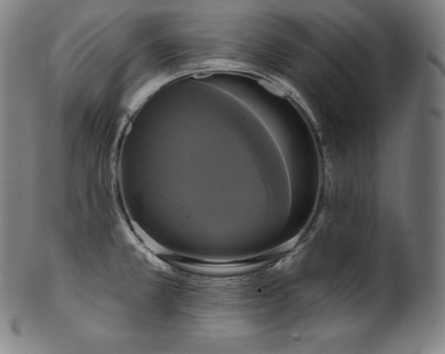 X0000099951381200806061532