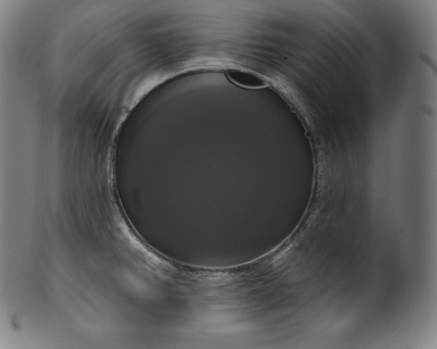 X0000099951382200806061532