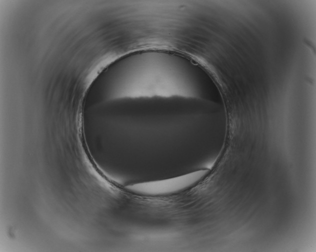 X0000099951383200806061532