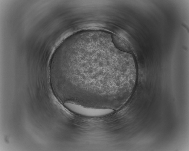 X0000099951384200806061532