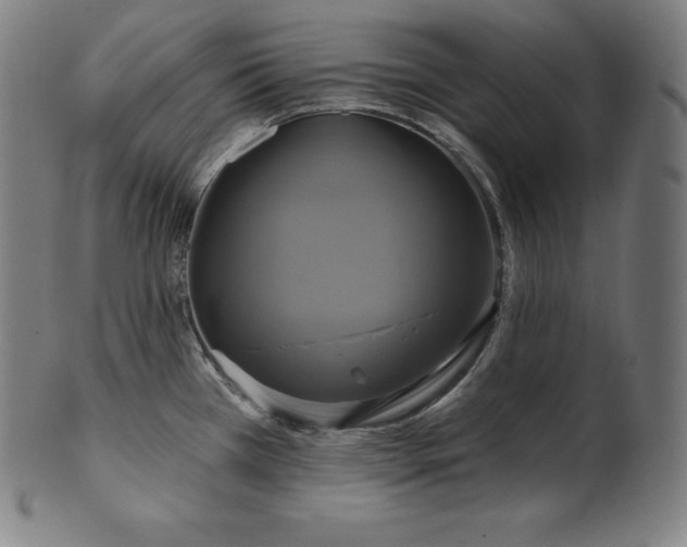 X0000099951385200806061532