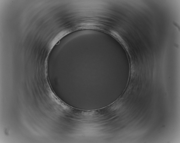 X0000099951386200806061532