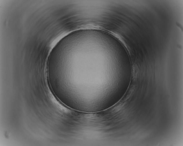 X0000099951387200806061532