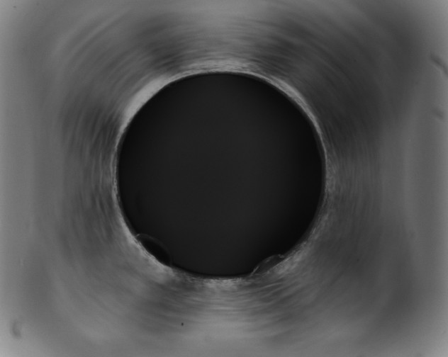 X0000099951389200806061532