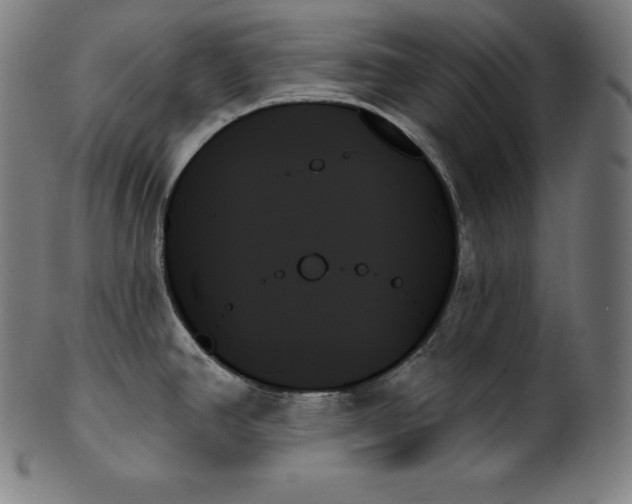 X0000099951390200806061532