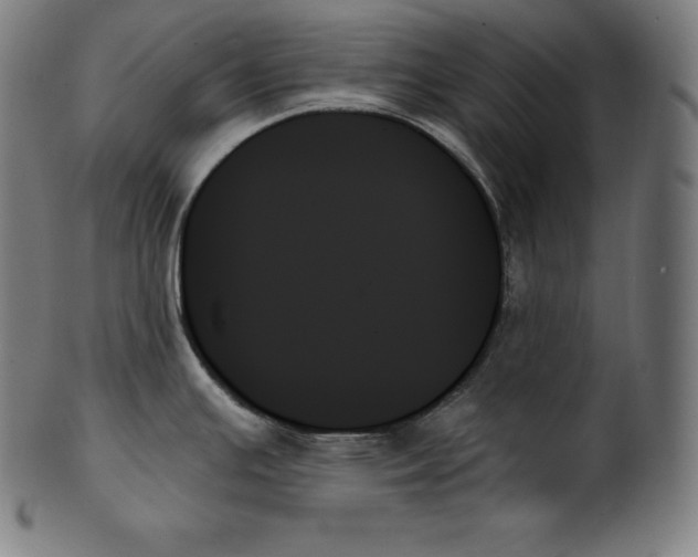 X0000099951391200806061532