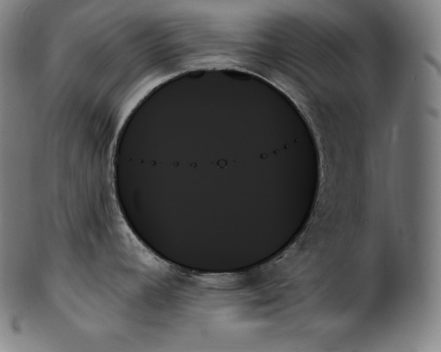 X0000099951392200806061532