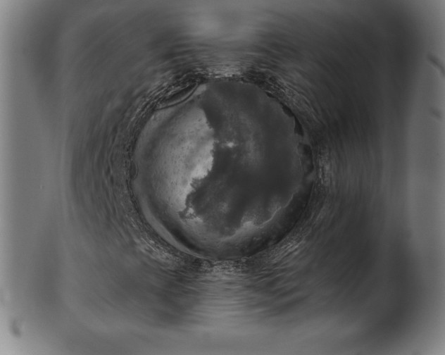 X0000099951393200806061531