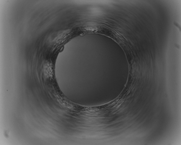 X0000099951394200806061531