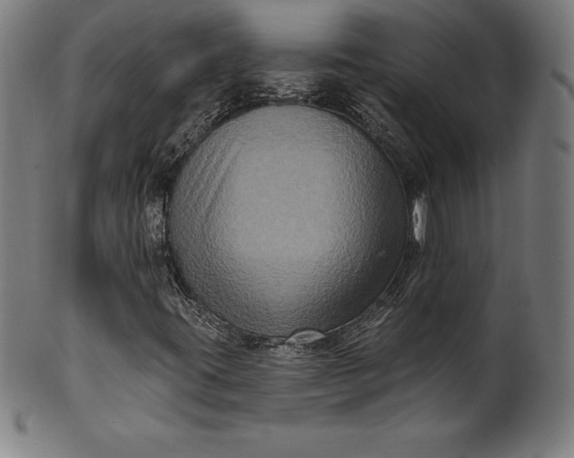 X0000099951395200806061531