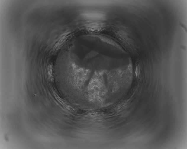 X0000099951396200806061531