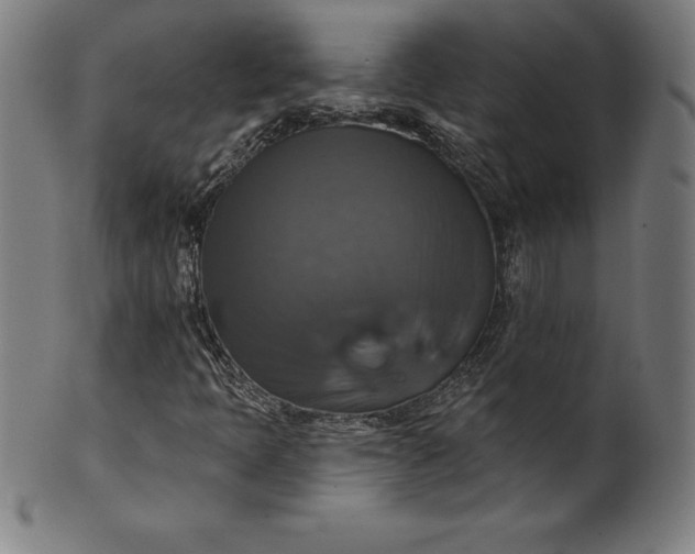 X0000099951397200806061531