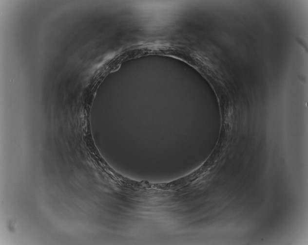 X0000099951398200806061531