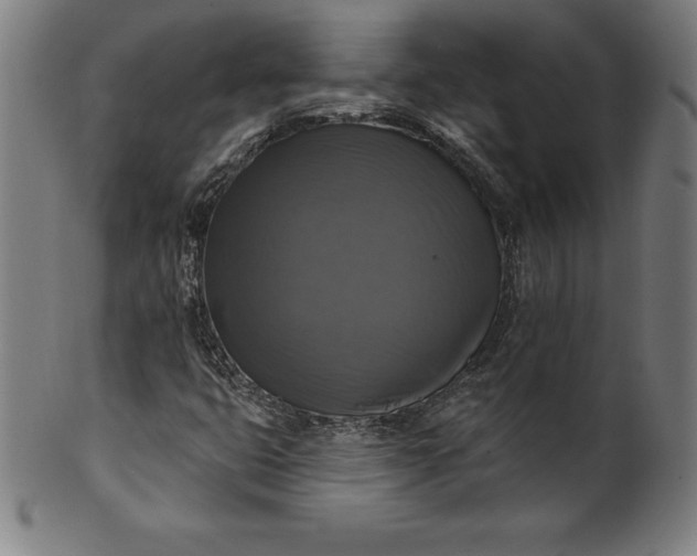 X0000099951399200806061531