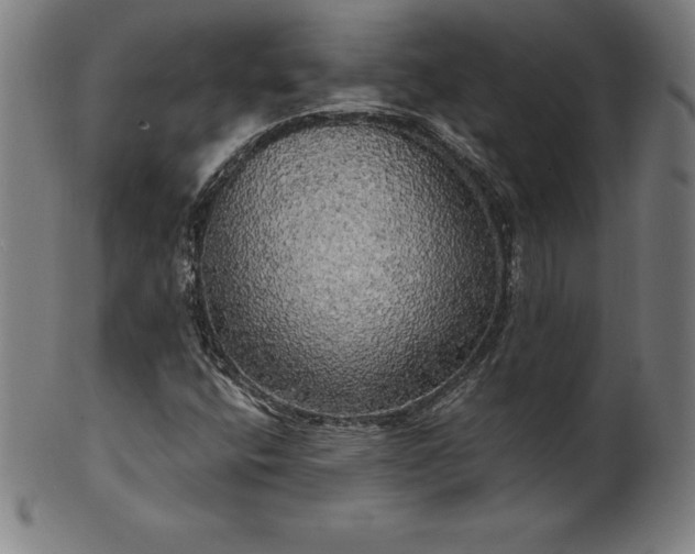 X0000099951400200806061531