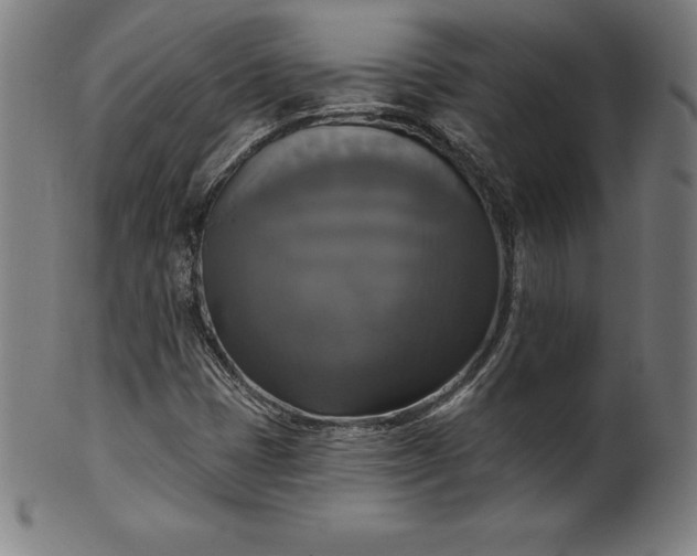 X0000099951401200806061531