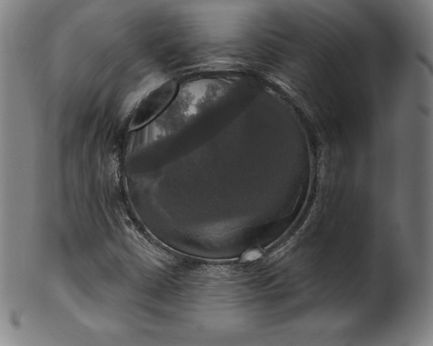 X0000099951402200806061531