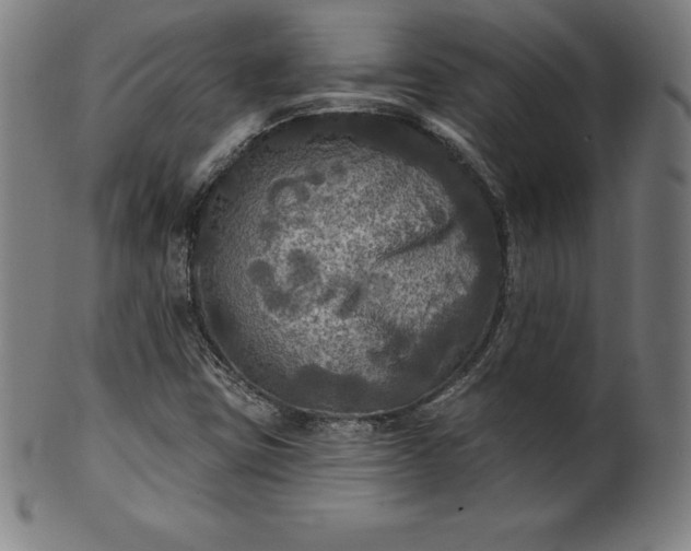 X0000099951403200806061531