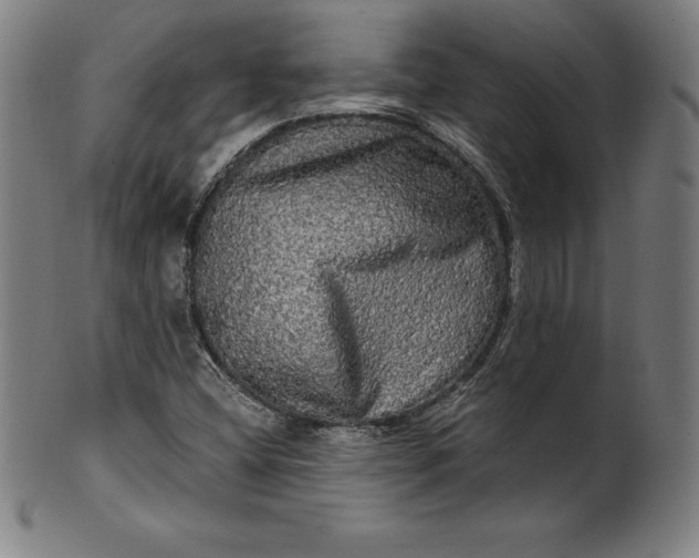 X0000099951404200806061531