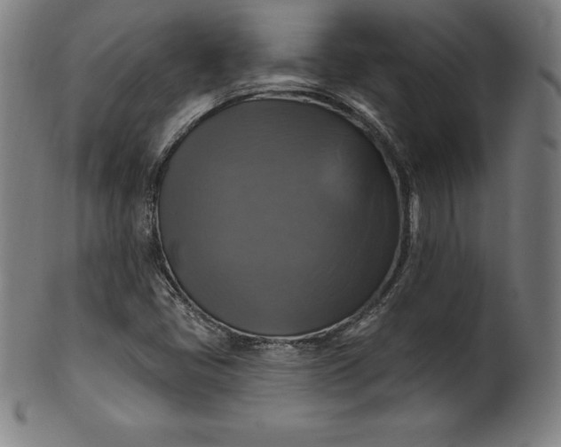 X0000099951405200806061531