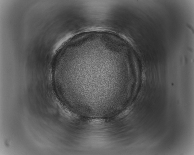 X0000099951406200806061531