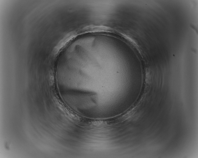 X0000099951407200806061531