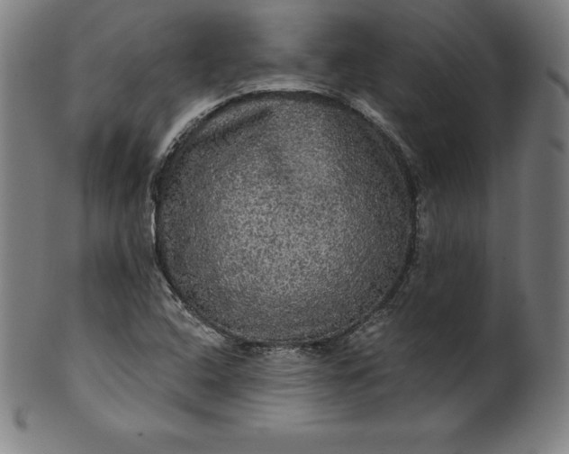 X0000099951408200806061531